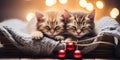 Two kittens sleeping in a basket with christmas ornaments. Generative AI image. Royalty Free Stock Photo