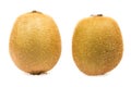 Two Kiwi fruit Royalty Free Stock Photo