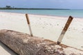 Two knives in log on the beach. Cold weapon. Knives with sharp blade and wooden handle. Hunting concept. Handmade knife. Royalty Free Stock Photo