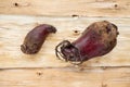 Two knobby ugly beets are lying on natural background of inverted tree bark.
