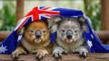 Two koalas under australian flag Royalty Free Stock Photo