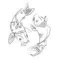 Two Koi carps vector liner illustration,japanese Koi fish line drawing isolated on white.Minimal art drawing