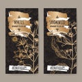 Two labels with Common myrtle aka Myrtus communis and Indian sandalwood aka Santalum album sketch on black background.