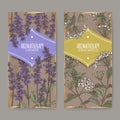 Two labels with Lavender aka Lavandula angustifolia and Lemon myrtle aka Backhousia citriodora color sketch. Royalty Free Stock Photo