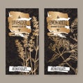 Two labels with Lavender aka Lavandula angustifolia and Lemon myrtle aka Backhousia citriodora sketch on black. Royalty Free Stock Photo