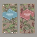 Two labels with Lemon balm aka Melissa officinalis and Schisandra chinensis color sketch on vintage background.