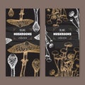 Two labels with parasol mushroom and enokitake mushroom sketch on black. Edible mushrooms series. Royalty Free Stock Photo