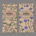 Two labels wuth Lawsonia inermis aka henna tree and Linum usitatissimum aka common flax sketch. Green apothecary series.