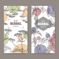 Two labels with Yarrow and Schisandra or magnolia vine sketch. Herbal collection series.