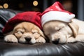 Two Labrador puppies in a Santa hat are sleeping on the sofa. Christmas card, New Year calendar Royalty Free Stock Photo