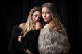 Two ladies in fur coats Royalty Free Stock Photo