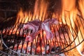 Lamb chops on the fire Royalty Free Stock Photo