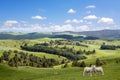 Two lambs and picturesque landscape