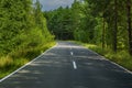 Two-lane asphalt road with white markings in the forest. Royalty Free Stock Photo