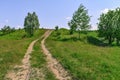 Two-lane dirt road up a hill in the middle of meadows and lush green grass on a sunny spring-summer day. Natural landscape with a Royalty Free Stock Photo