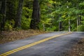 Two Lane Mountain Road with Double Yellow Lines in the forest of Maine