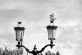 Two lantern and a dove