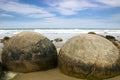Two large boulders of Moeraki Boulders, New Zealand