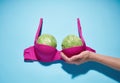 Two large cabbage in a pink bra Royalty Free Stock Photo