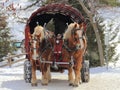 Horse Carriage Winter Hay Ride Royalty Free Stock Photo