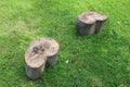 Two large cut tree logs used as small outdoor seats