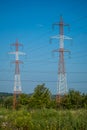 Two large electric poles placed in a beautiful green field and flowers