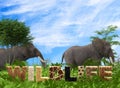 Two elephants with wildlife sign trees and plants part illustration Royalty Free Stock Photo