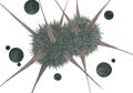 Two large fluffy balls with long sharp needles and little black bubbles