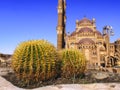 Two large globular Echinocactus on the background of a blurred landscape with the El Sahaba Mosque in Sharm El Sheikh Egypt.