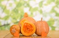 Two large gourd, half gourd with seeds, little hearts pumpkin, on table