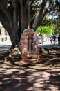 Two large hanging birdcages on a tree on Murray Street, Perth City