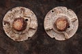 Two large heavy old vintage rusted bolts on a weathered wood wall, grunge background texture Royalty Free Stock Photo