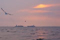 Two large identical ships going head-to-head, in a Thai river delta`s sunset background, with seagulls flying about.