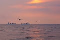 Two large identical ships going head-to-head, in a Thai river delta`s sunset background, with seagulls flying about.