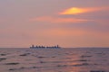 Two large identical ships going head-to-head, in a Thai river delta`s sunset background, with seagulls flying about.