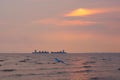 Two large identical ships going head-to-head, in a Thai river delta`s sunset background, with seagulls flying about.