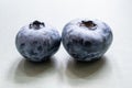 Two blueberry berries close-up Royalty Free Stock Photo