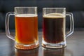 Two large mugs of dark and light beer Royalty Free Stock Photo