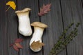 Two large mushrooms and sprig of thyme