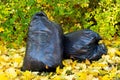 two large plastic bags with garbage on autumn foliage Royalty Free Stock Photo