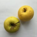 Two large ripe apples on a white background. Abstract still life.