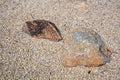 Two large rocks resting on a bed of smaller, multi-colored pebbles and sand Royalty Free Stock Photo