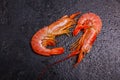 Two royal prawns with shell. Royalty Free Stock Photo