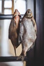 Two appetizing dried fish weigh on blurred background