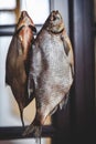 Two appetizing dried fish weigh on blurred background