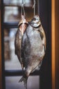 Two appetizing dried fish weigh on blurred background