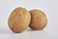 Two large walnuts lie side by side on a white background. Royalty Free Stock Photo