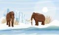 Two Large Woolly Mammoth. Snow And Glacier. Dry Frozen Grass By The Sea. Prehistory Animals. Ice Age.