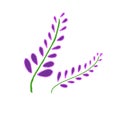 Two lavenders drawing Royalty Free Stock Photo