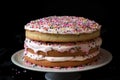 two-layer cake, with pink frosting and sprinkles on top layer and white frosting and sprinkles on the bottom